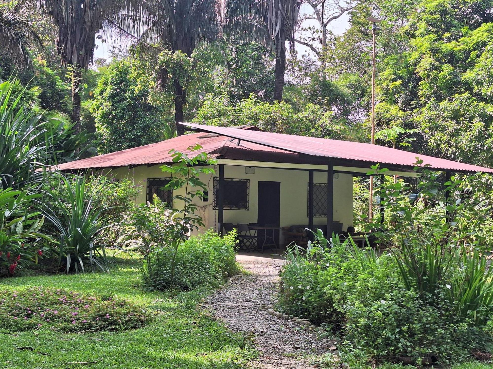 Four Monkeys Eco Lodge Jungle & Beach - The House Cabo Matapalo Exterior photo